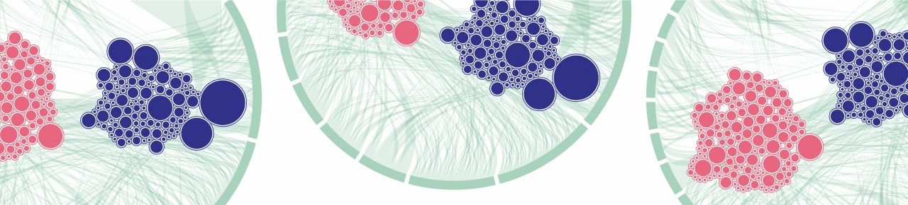 Schematic representation of data as bubbles with hair line connections
